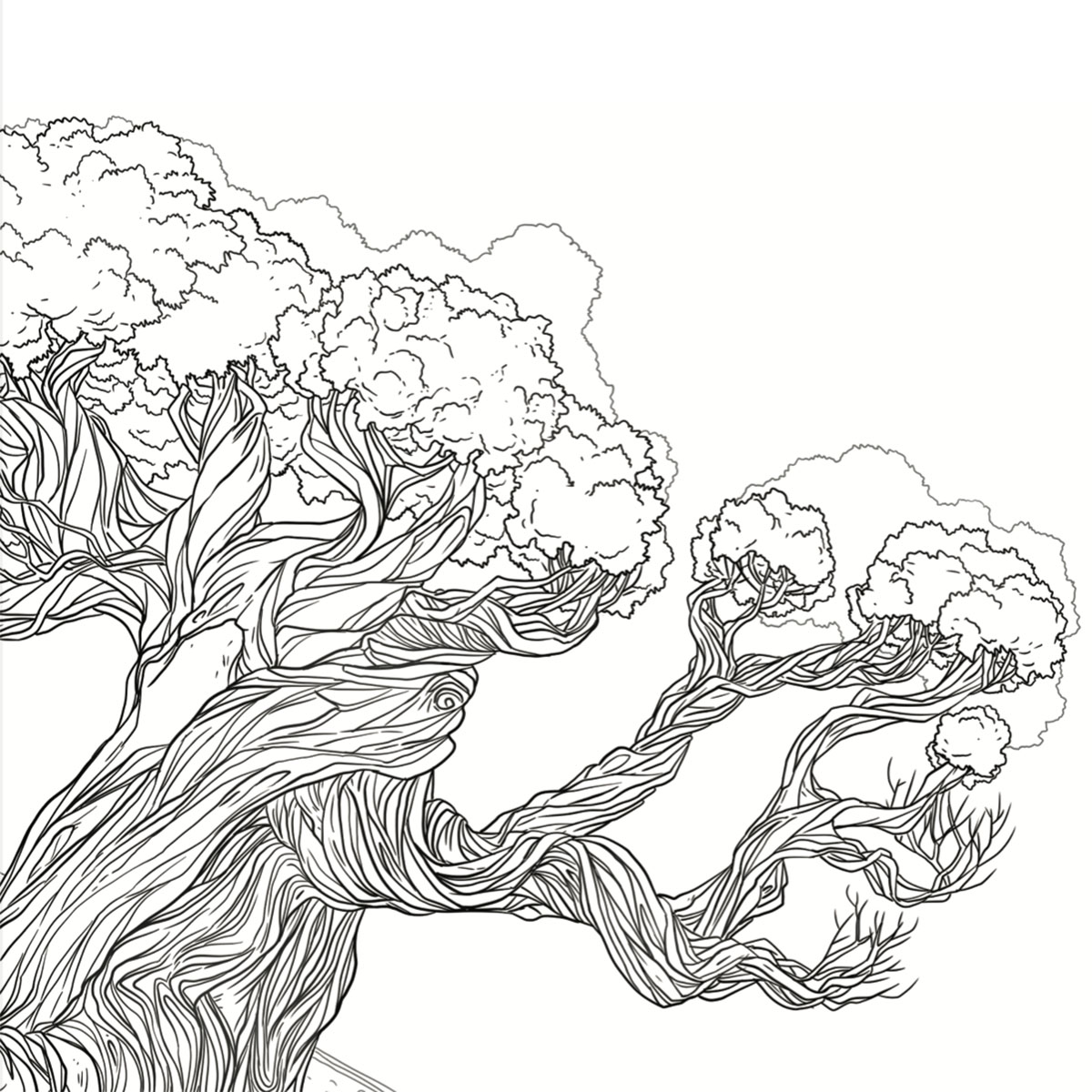 L olivier Un Arbre B ni En Islam BDouin Mag